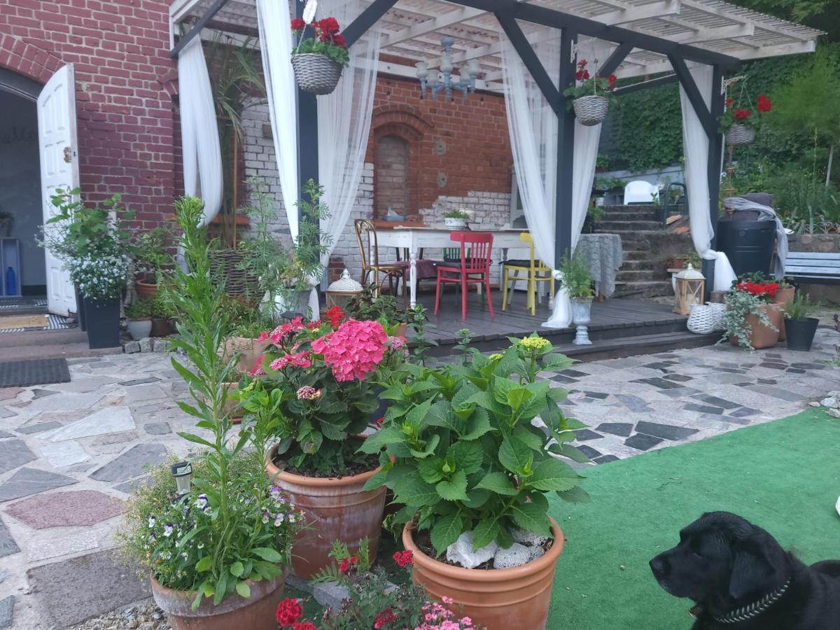 Krzywa Apartamenty ลิดซ์บาร์ก วาร์มิงสกี ภายนอก รูปภาพ